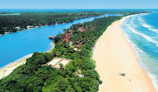 Palm-fringed Sri Lankan beach