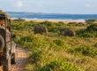 Sri Lanka Safari and Beach Holiday